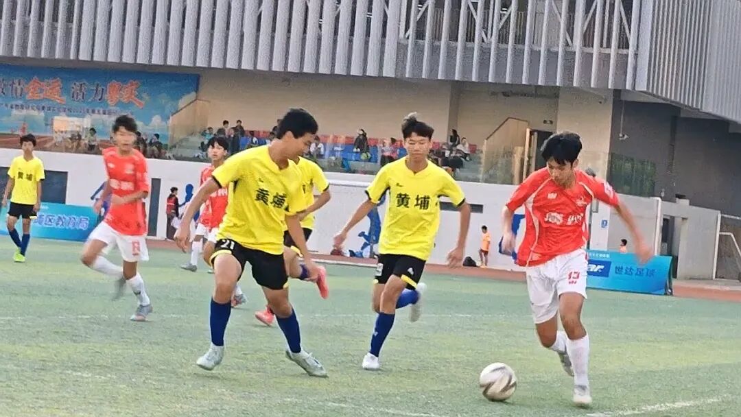 微信图片_2025-12-31_203828_697.jpg 微信图片_2025-12-31_203828_697.jpg