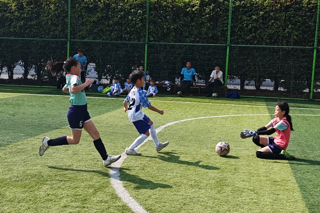 微信图片_2026-01-30_115123_607.jpg 微信图片_2026-01-30_115123_607.jpg