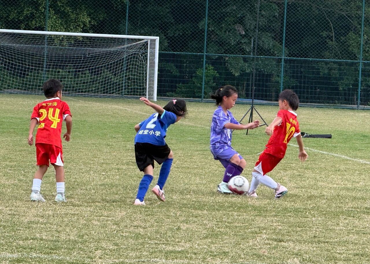微信图片_2026-09-17_103859_801.jpg